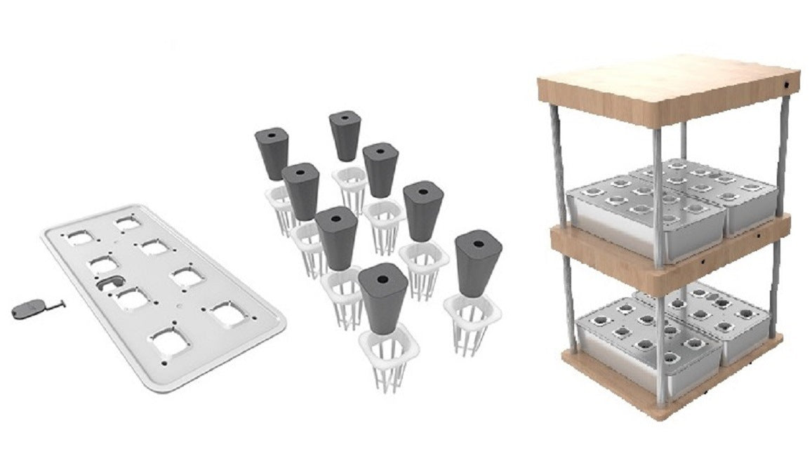 Pure Natural Bamboo Plant Growth Machine