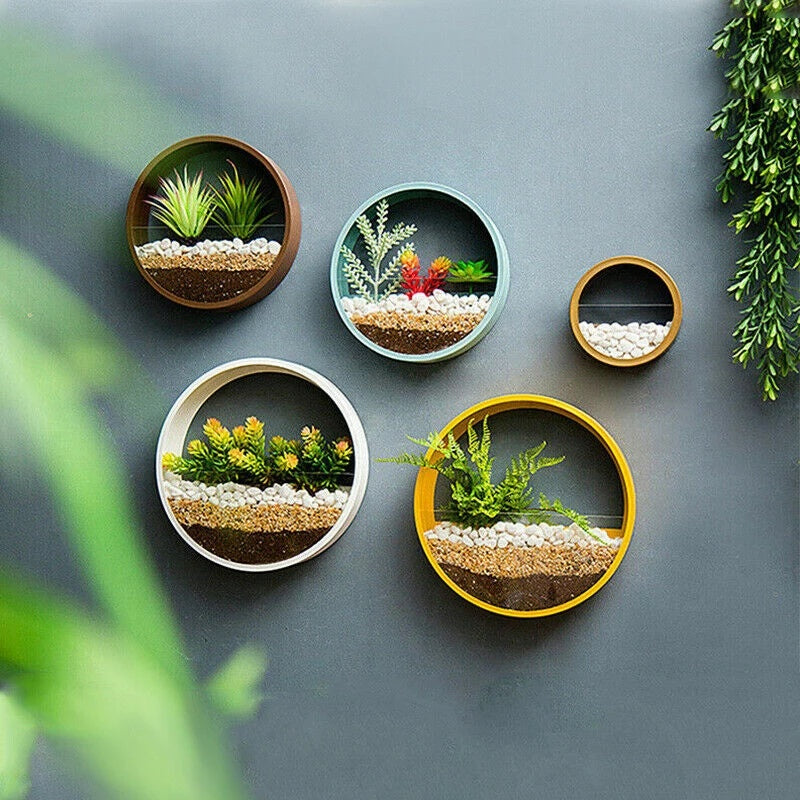 Round Iron Wall Vase – Hanging Succulent Planter
