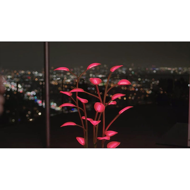 Magic LED Indoor Plant Lamp – Grow Light
