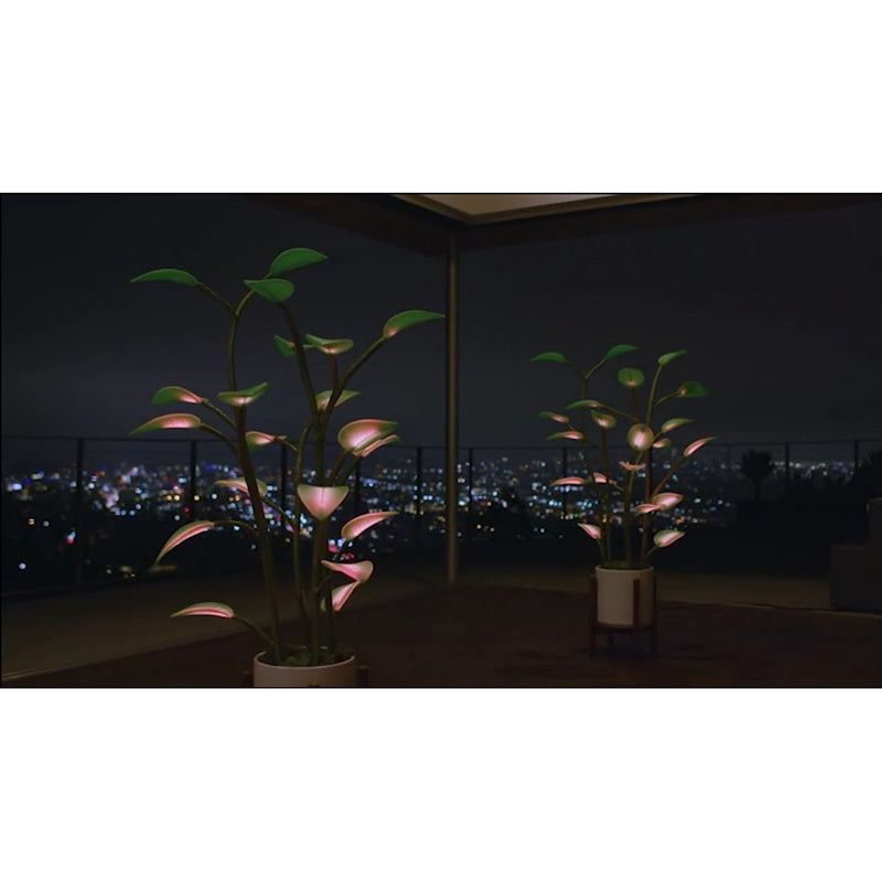 Magic LED Indoor Plant Lamp – Grow Light