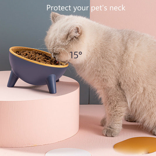 Elevated Pet Feeding Bowl – Cat & Dog Stand