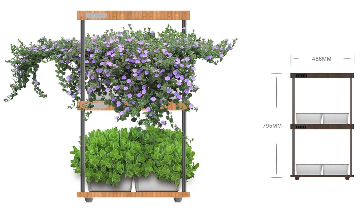 Pure Natural Bamboo Plant Growth Machine