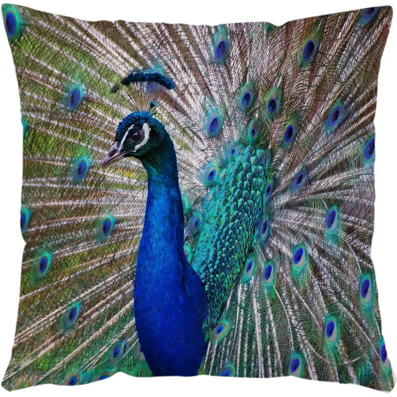 Sea Turtle Cushion Covers – Printed Throw Pillow Cases