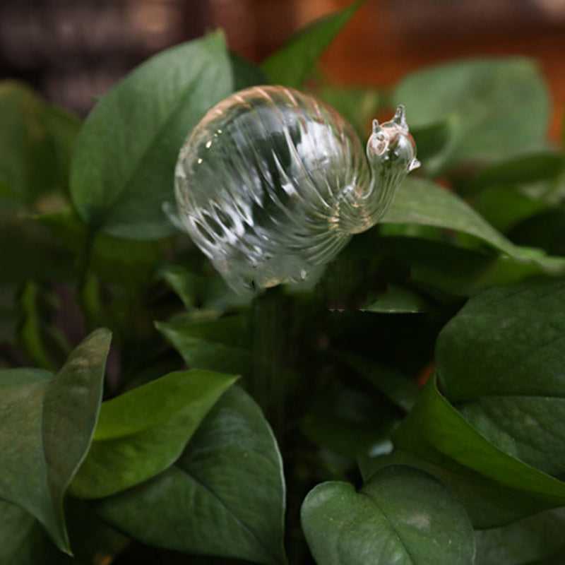 Glass Self-Watering Bird Feeder – Automatic Watering Can