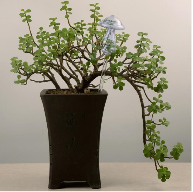 Glass Self-Watering Bird Feeder – Automatic Watering Can