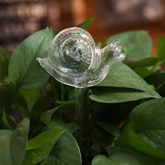 Glass Self-Watering Bird Feeder – Automatic Watering Can