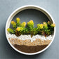 Round Iron Wall Vase – Hanging Succulent Planter
