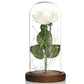Glass Shade Rose Lamp