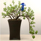 Glass Self-Watering Bird Feeder – Automatic Watering Can