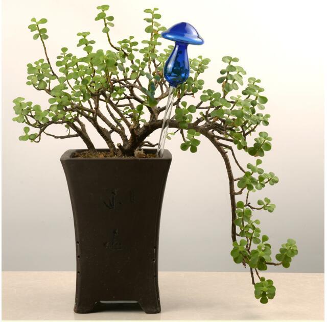 Glass Self-Watering Bird Feeder – Automatic Watering Can