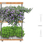 Pure Natural Bamboo Plant Growth Machine