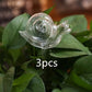 Glass Self-Watering Bird Feeder – Automatic Watering Can