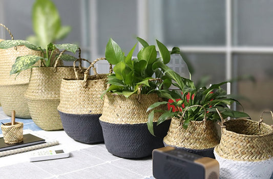 Seagrass Laundry Storage Baskets – Woven Organization