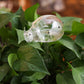 Glass Self-Watering Bird Feeder – Automatic Watering Can