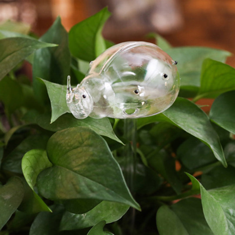 Glass Self-Watering Bird Feeder – Automatic Watering Can