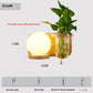 Wooden Wall Lamp – Simple Bedside Light