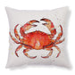 Sea Turtle Cushion Covers – Printed Throw Pillow Cases