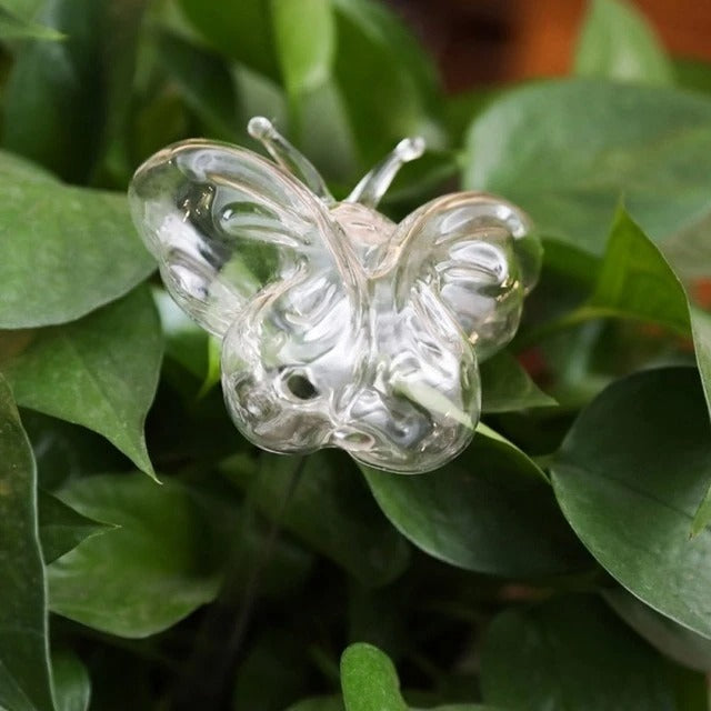 Glass Self-Watering Bird Feeder – Automatic Watering Can