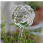 Glass Self-Watering Bird Feeder – Automatic Watering Can