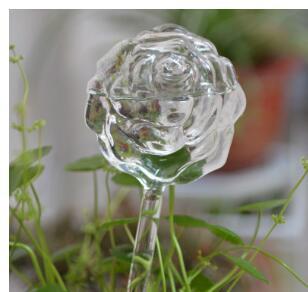 Glass Self-Watering Bird Feeder – Automatic Watering Can