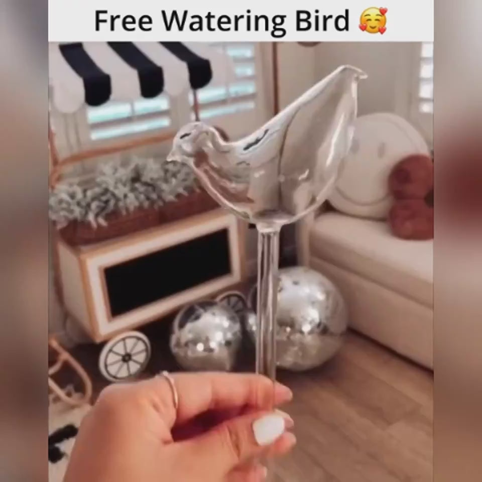 CJJJJTJT01886
