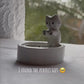 1.mp4